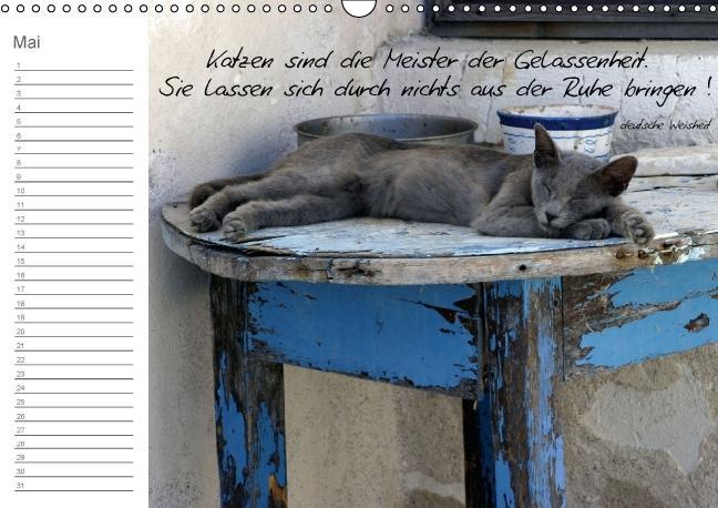 Weitere Ansicht: Beflügelt (Wandkalender immerwährend DIN A3 quer) | Alexandra Loos