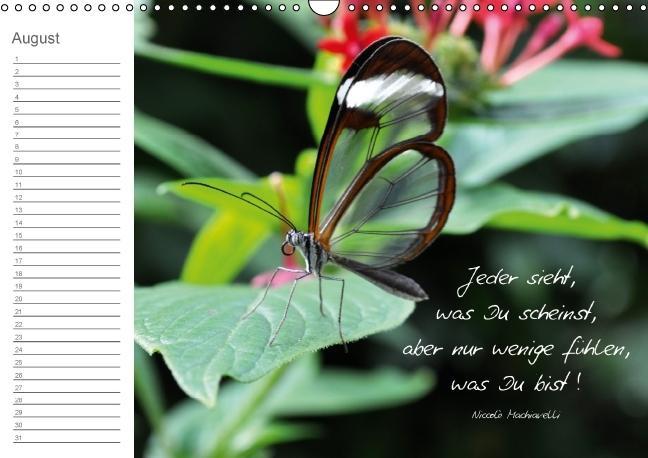 Weitere Ansicht: Beflügelt (Wandkalender immerwährend DIN A3 quer) | Alexandra Loos