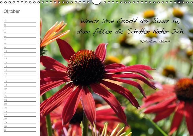 Weitere Ansicht: Beflügelt (Wandkalender immerwährend DIN A3 quer) | Alexandra Loos