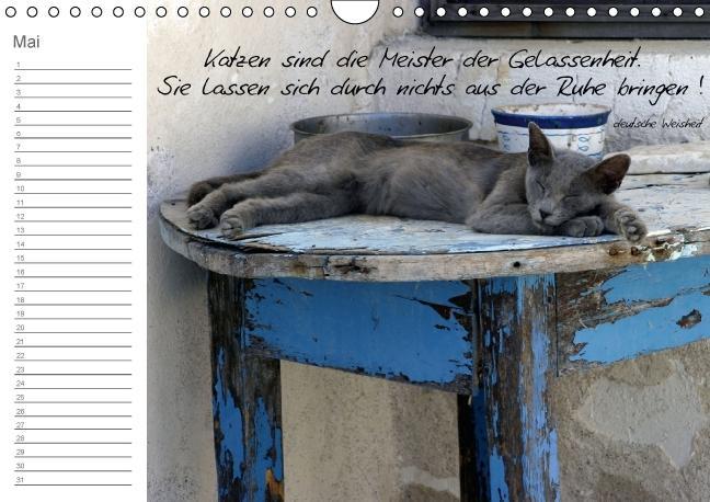 Weitere Ansicht: Beflügelt (Wandkalender immerwährend DIN A4 quer) | Alexandra Loos