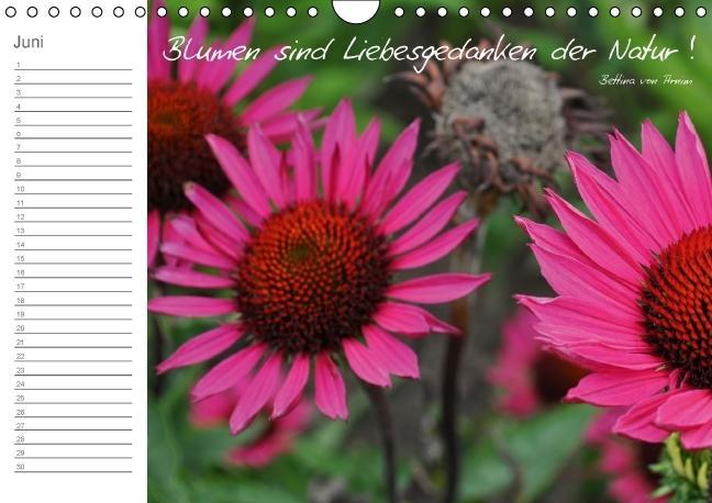 Weitere Ansicht: Beflügelt (Wandkalender immerwährend DIN A4 quer) | Alexandra Loos