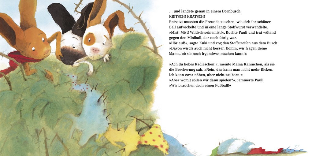 Weitere Ansicht: Pauli - Fußballstar | Brigitte Weninger