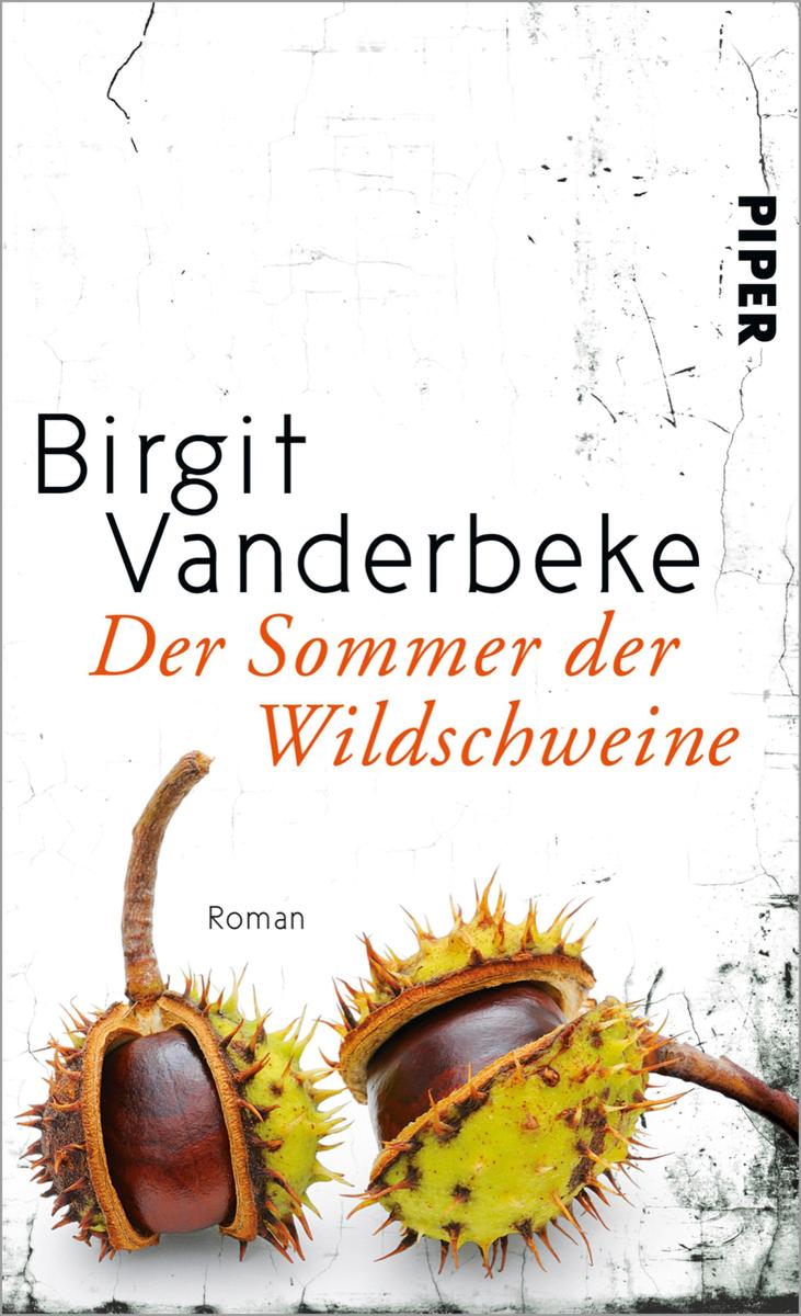 Produktbild: Der Sommer der Wildschweine | Birgit Vanderbeke