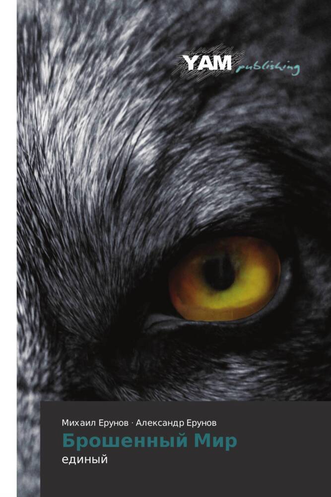 Produktbild: Broshennyj Mir | Alexandr Erunow, Mihail Erunow