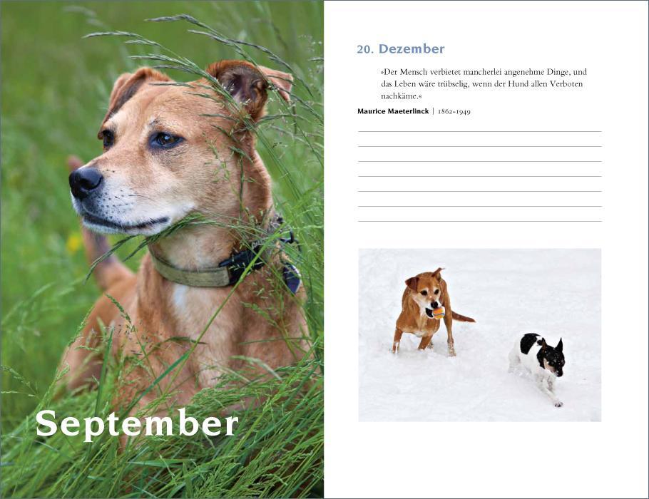 Weitere Ansicht: Mit Hunden durch das Jahr