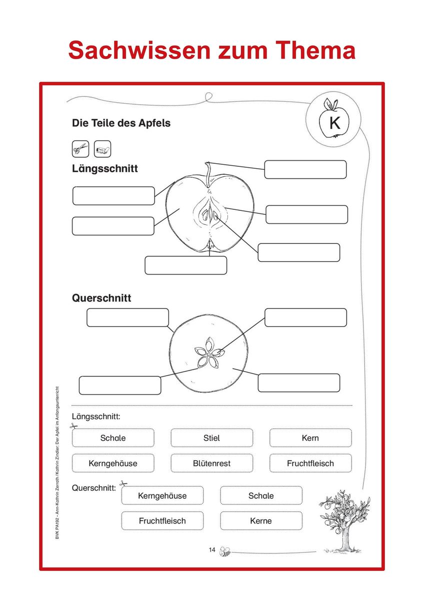 Weitere Ansicht: Der Apfel im Anfangsunterricht | Ann-Kathrin Zerrath, Kathrin Zindler