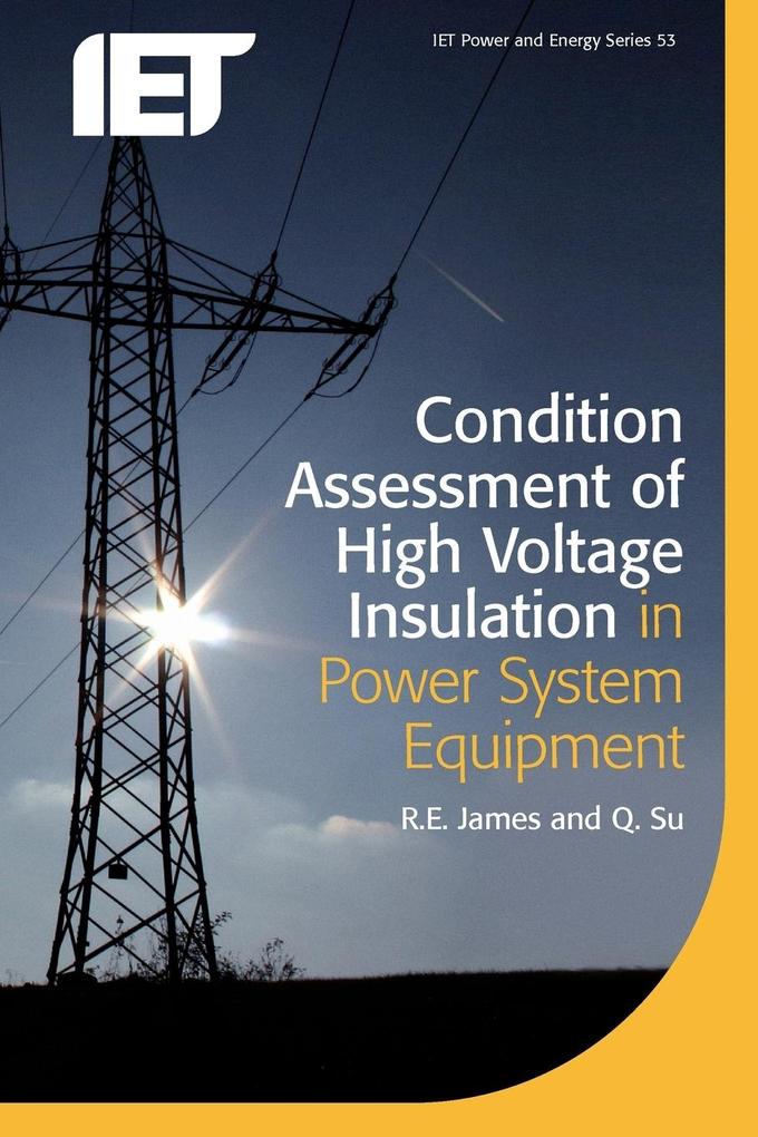 Condition Assessment of High Voltage Insulation in Power System Equipment als Taschenbuch