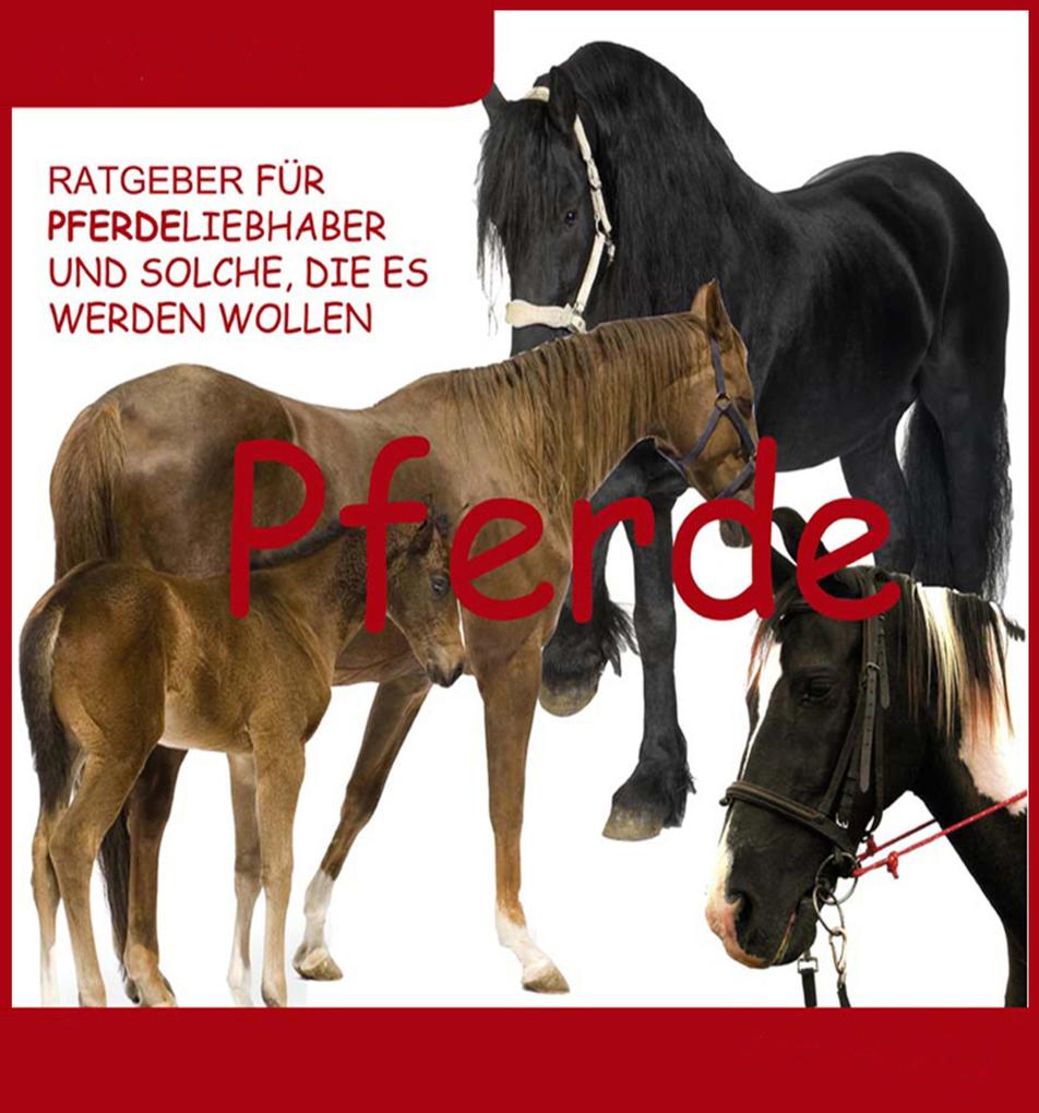 Produktbild: Wissenswertes über Pferde | Thomas Meinen