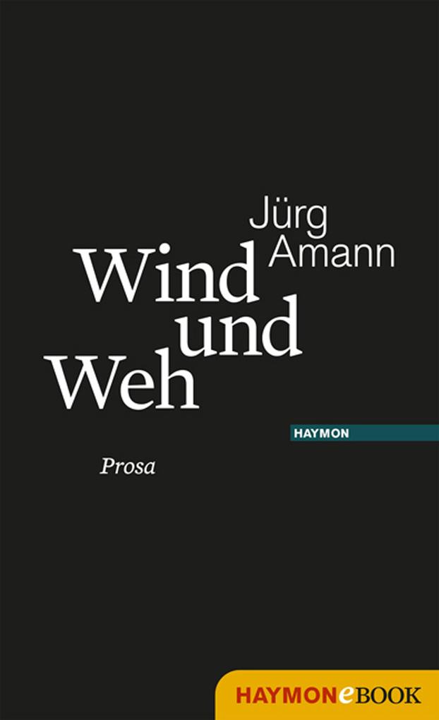 Produktbild: Wind und Weh | Jürg Amann