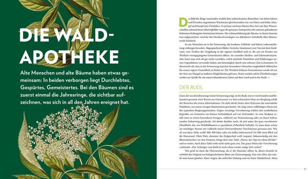 Weitere Ansicht: Die sanfte Medizin der Bäume | Erwin Thoma, Maximilian Moser