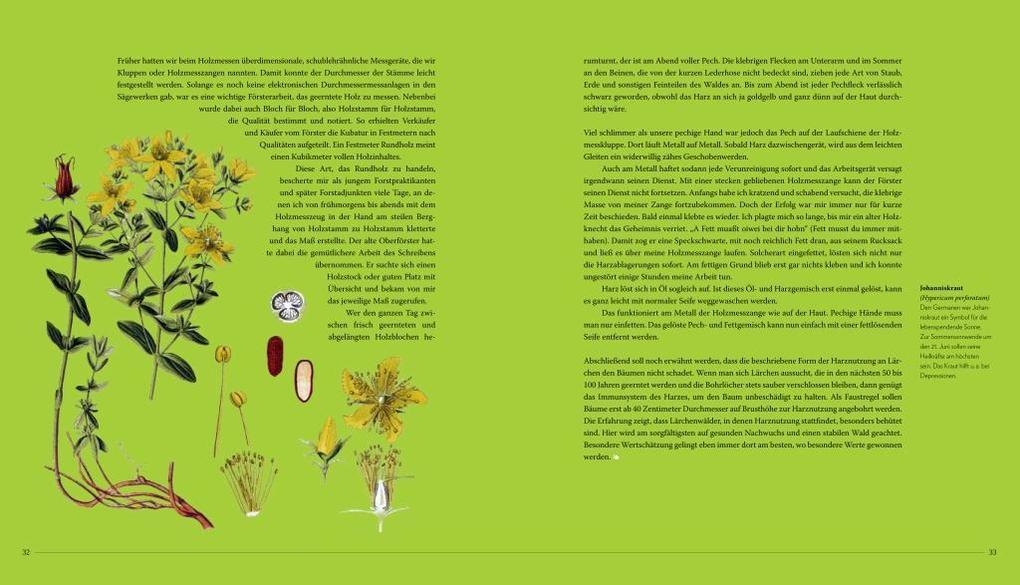 Weitere Ansicht: Die sanfte Medizin der Bäume | Erwin Thoma, Maximilian Moser