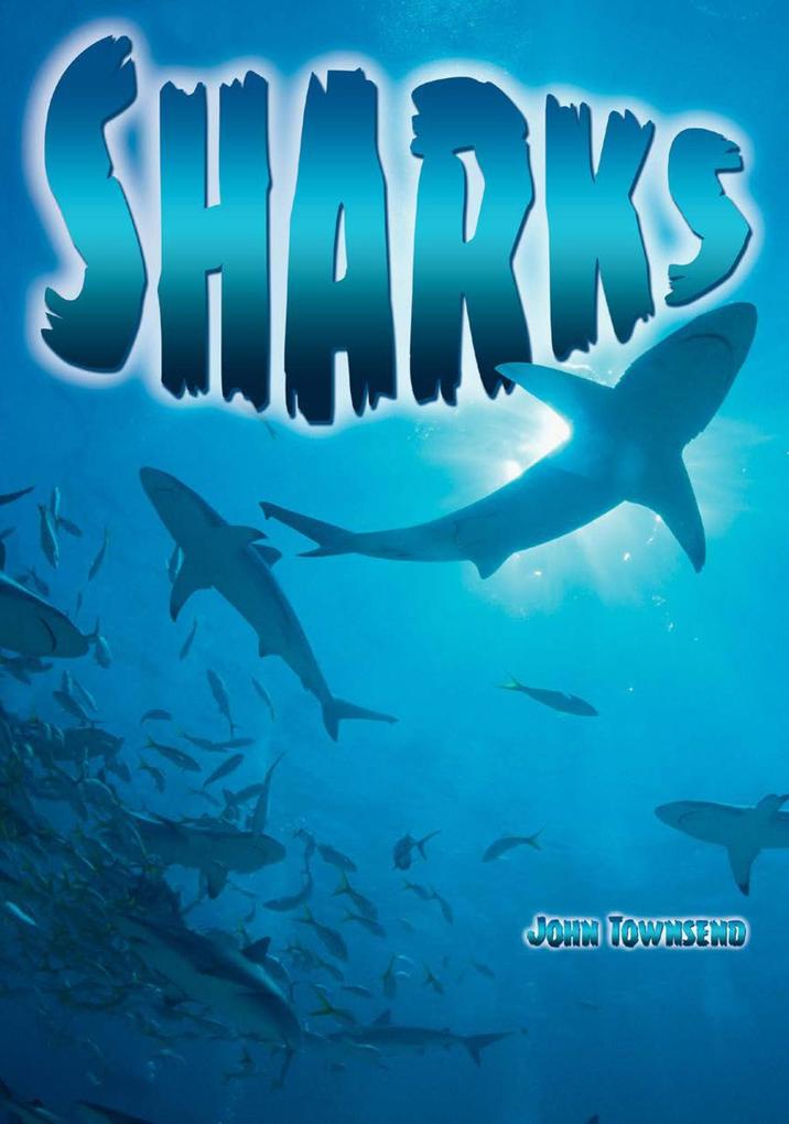 Produktbild: Sharks | John Townsend