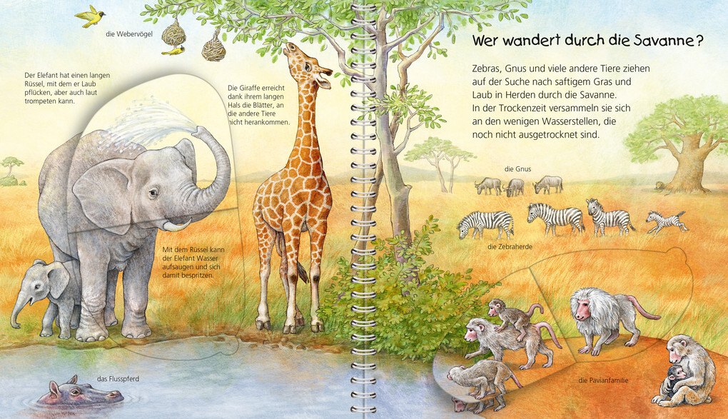 Weitere Ansicht: Wieso? Weshalb? Warum? Mein junior-Lexikon: Tiere