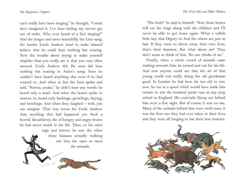 Weitere Ansicht: The Magician's Nephew (Hardback) | C. S. Lewis