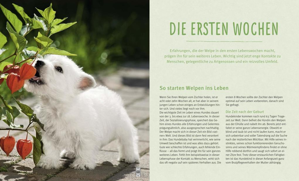 Weitere Ansicht: Unser Welpe | Katharina Schlegl-Kofler