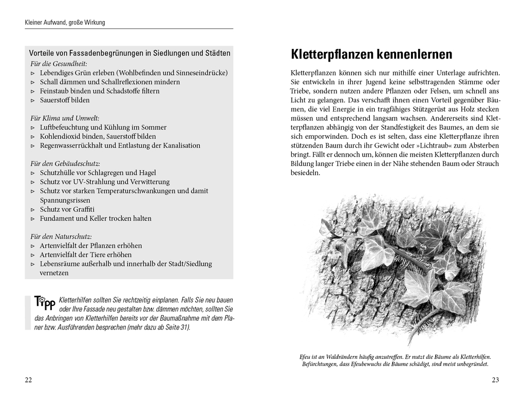 Weitere Ansicht: Grüne Wände für Haus und Garten | Brigitte Kleinod