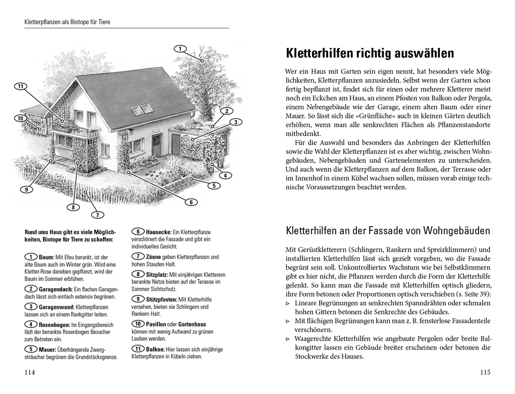 Weitere Ansicht: Grüne Wände für Haus und Garten | Brigitte Kleinod