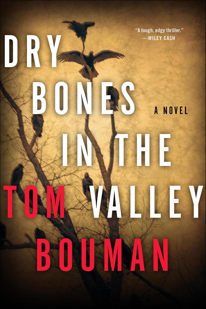 Produktbild: Dry Bones in the Valley | Tom Bouman