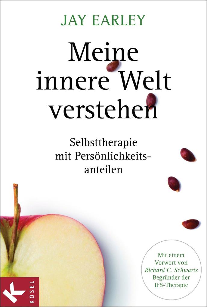Produktbild: Meine innere Welt verstehen | Jay Earley