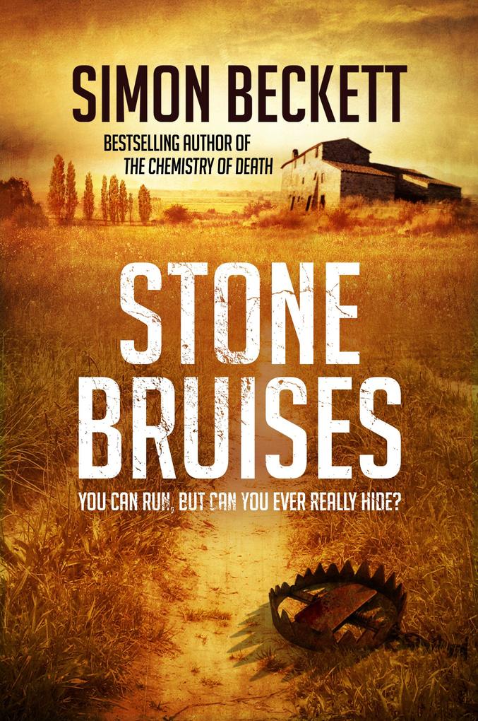 Produktbild: Stone Bruises | Simon Beckett