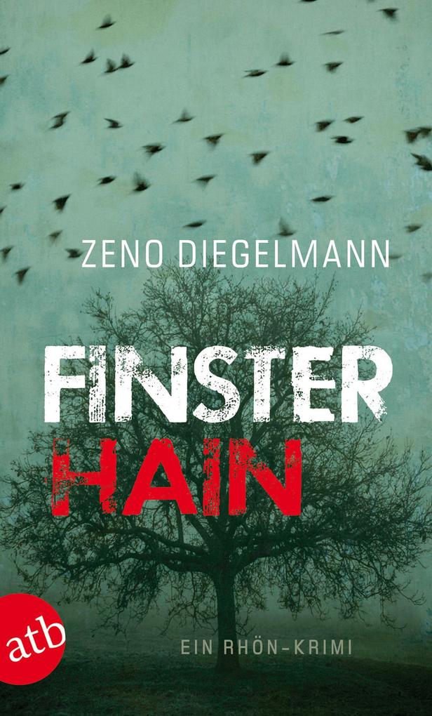 Produktbild: Finsterhain | Zeno Diegelmann