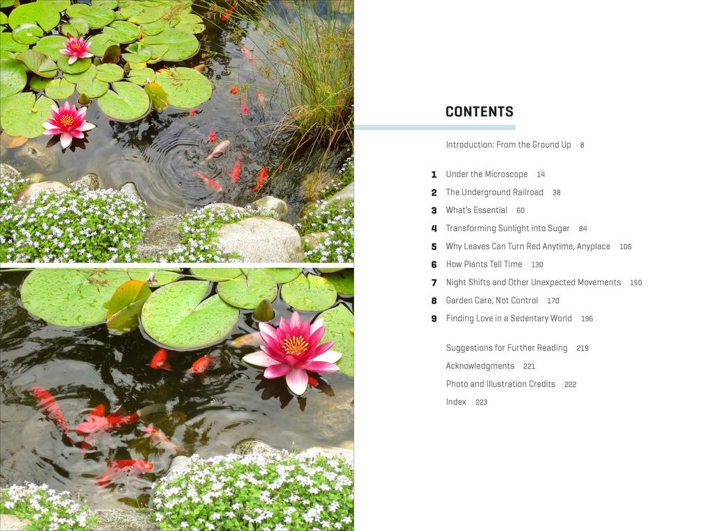 Weitere Ansicht: How Plants Work | Linda Chalker-Scott