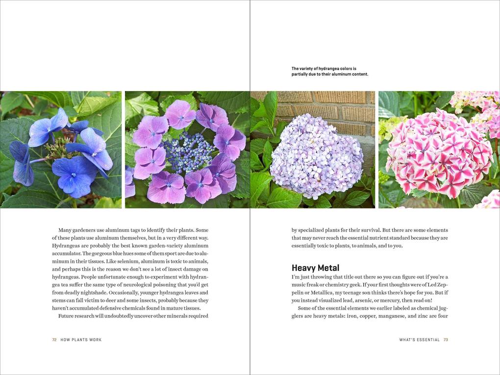 Weitere Ansicht: How Plants Work | Linda Chalker-Scott