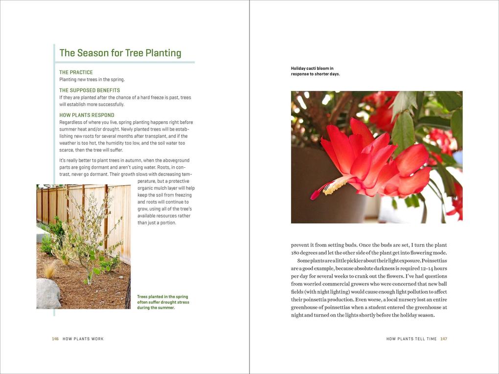 Weitere Ansicht: How Plants Work | Linda Chalker-Scott