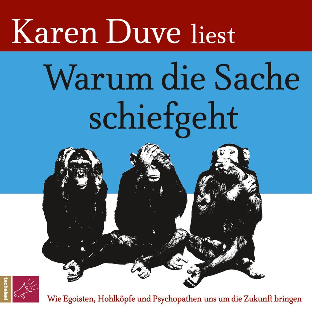Produktbild: Warum die Sache schiefgeht | Karen Duve