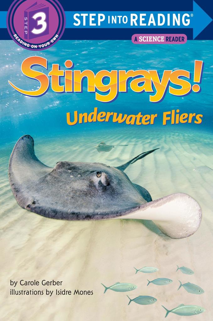 Produktbild: Stingrays! Underwater Fliers | Carole Gerber
