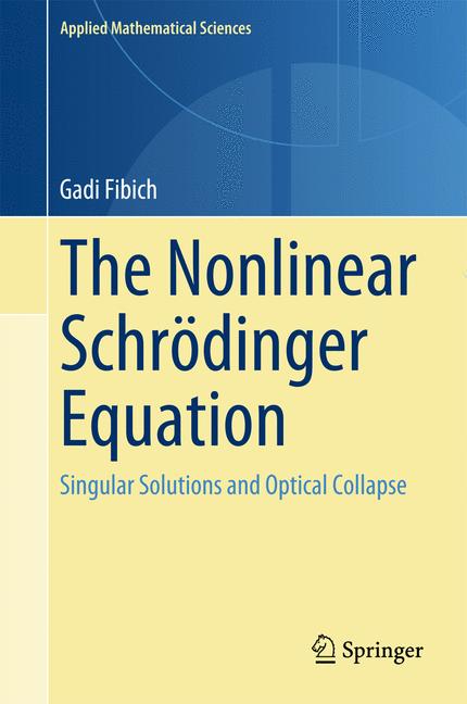 Weitere Ansicht: The Nonlinear Schrödinger Equation | Gadi Fibich