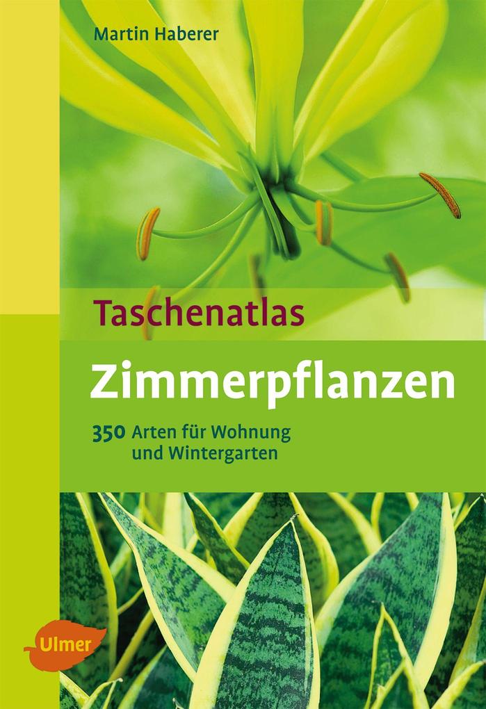Produktbild: Zimmerpflanzen | Martin Haberer