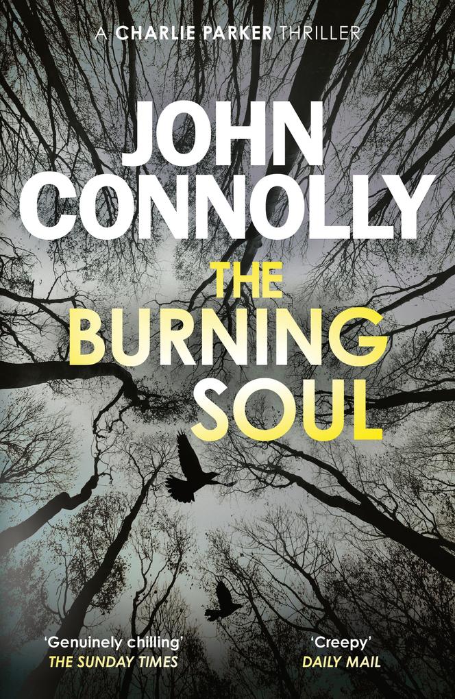 Produktbild: The Burning Soul | John Connolly