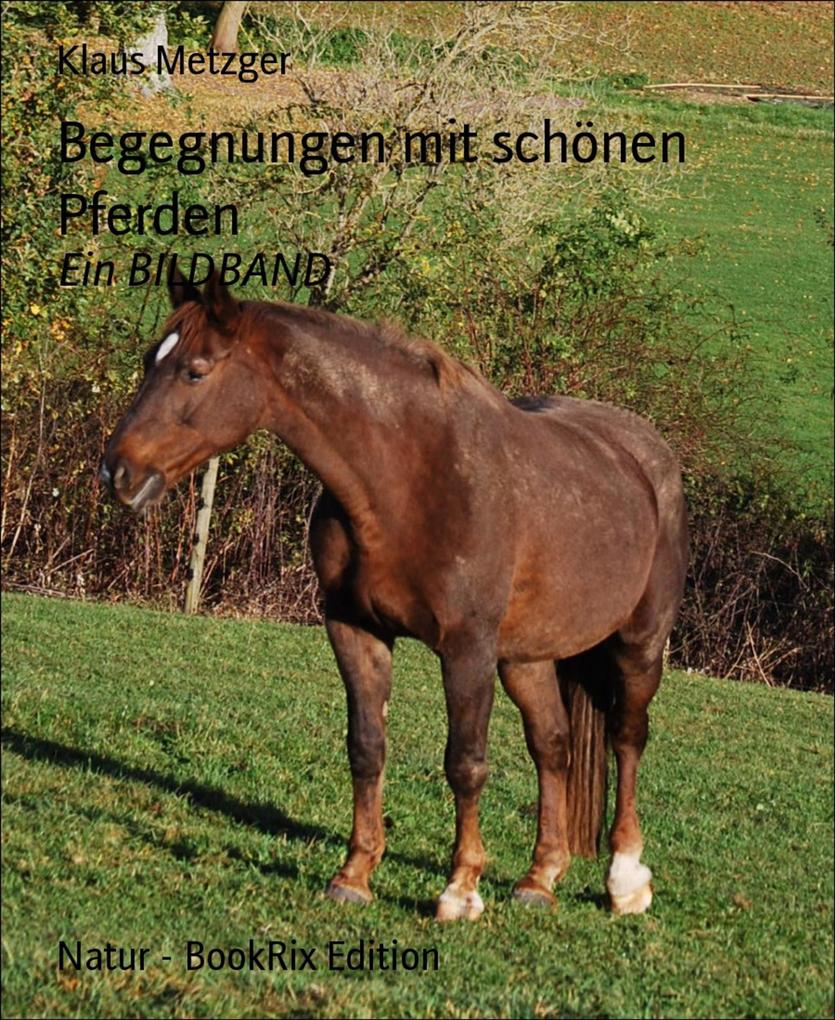 Produktbild: Begegnungen mit schönen Pferden | Klaus Metzger