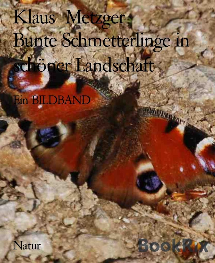 Produktbild: Bunte Schmetterlinge in schöner Landschaft | Klaus Metzger