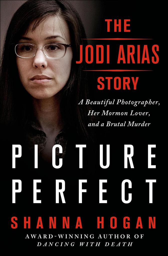 Produktbild: Picture Perfect | Shanna Hogan