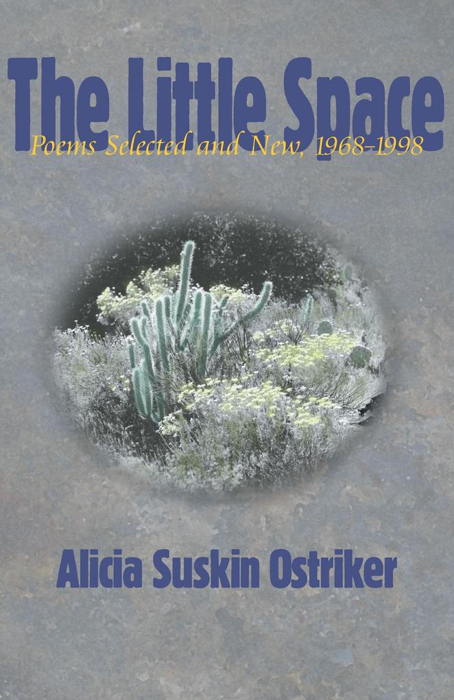 Produktbild: The Little Space | Alicia Suskin Ostriker