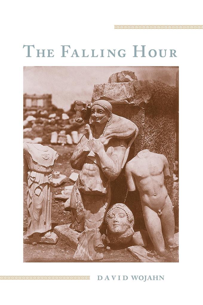 Produktbild: The Falling Hour | David Wojahn