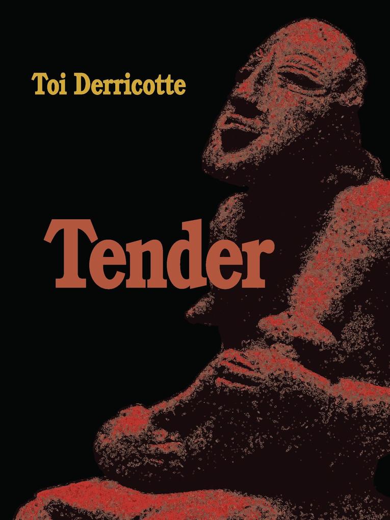 Produktbild: Tender | Toi Derricotte
