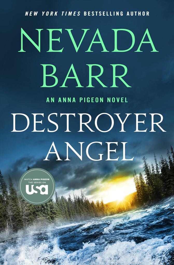 Produktbild: Destroyer Angel | Nevada Barr