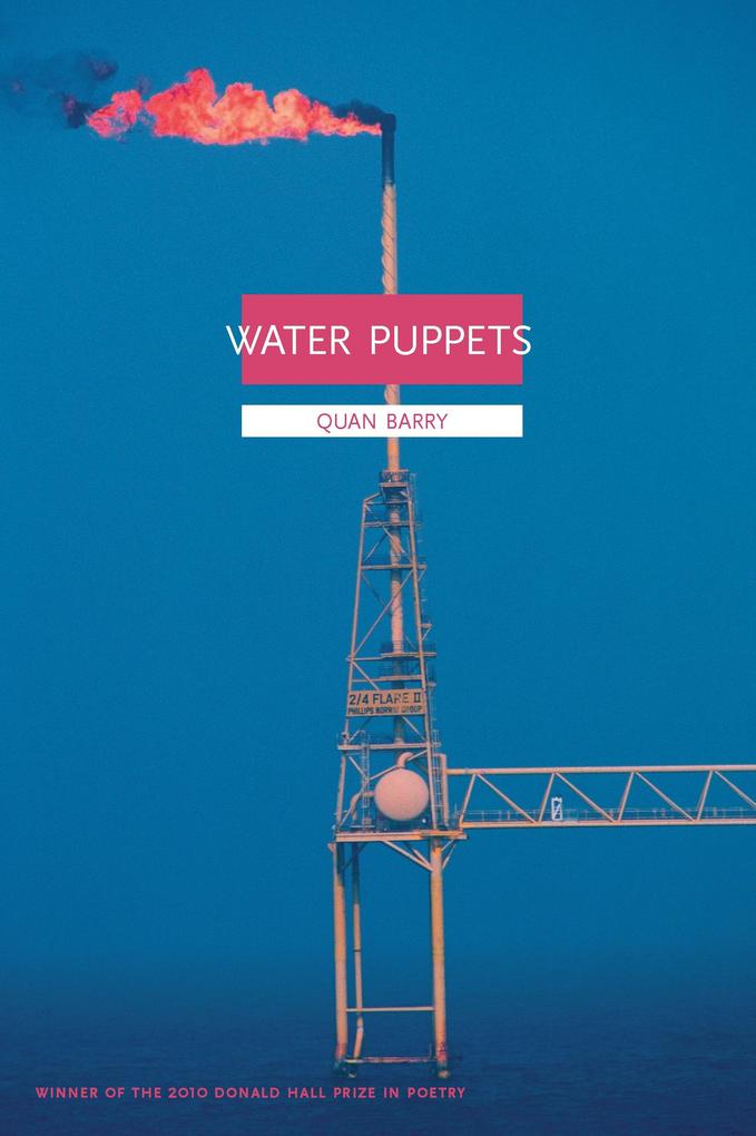 Produktbild: Water Puppets | Quan Barry