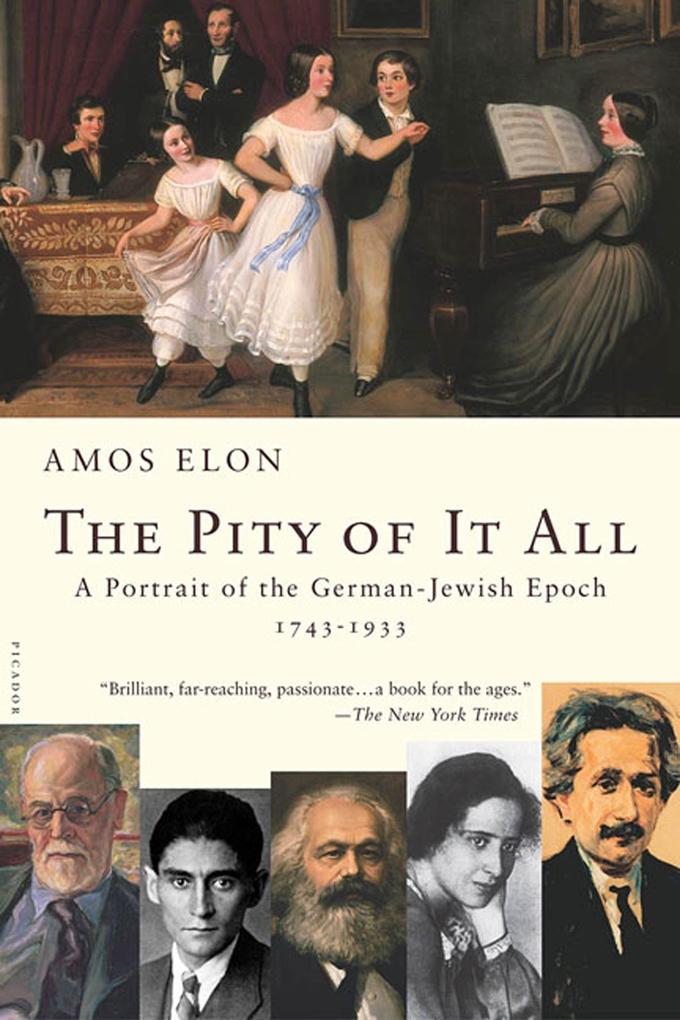 The Pity of It All: A Portrait of the German-Jewish Epoch, 1743-1933 als Taschenbuch