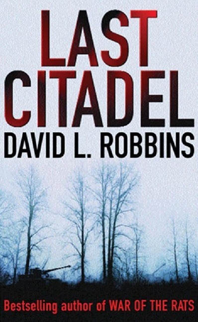 Produktbild: Last Citadel | David L. Robbins