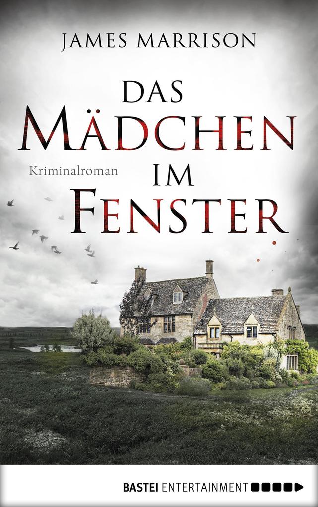 Produktbild: Das Mädchen im Fenster | James Marrison