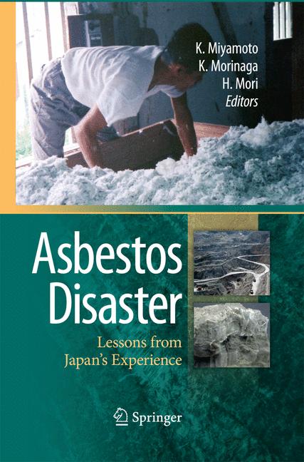 Weitere Ansicht: Asbestos Disaster