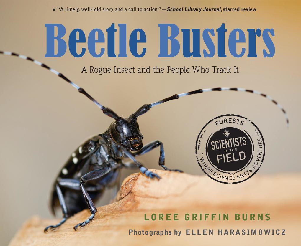 Produktbild: Beetle Busters | Loree Griffin Burns