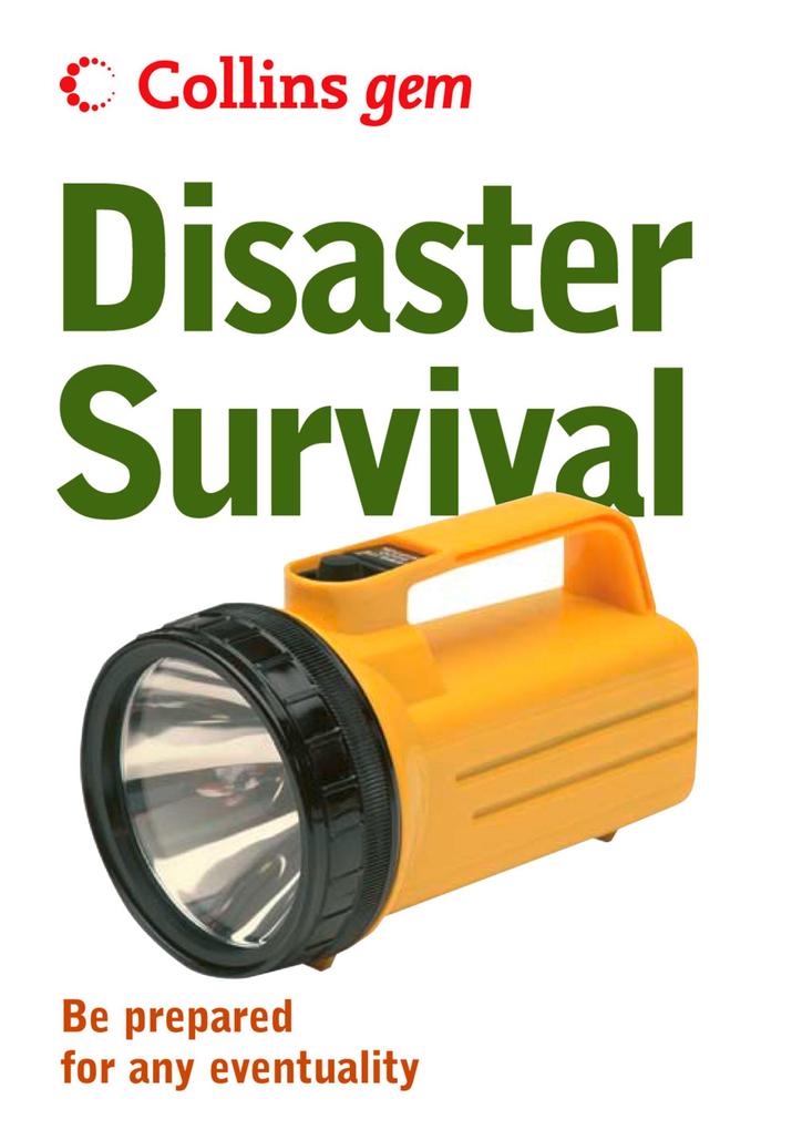 Produktbild: Disaster Survival