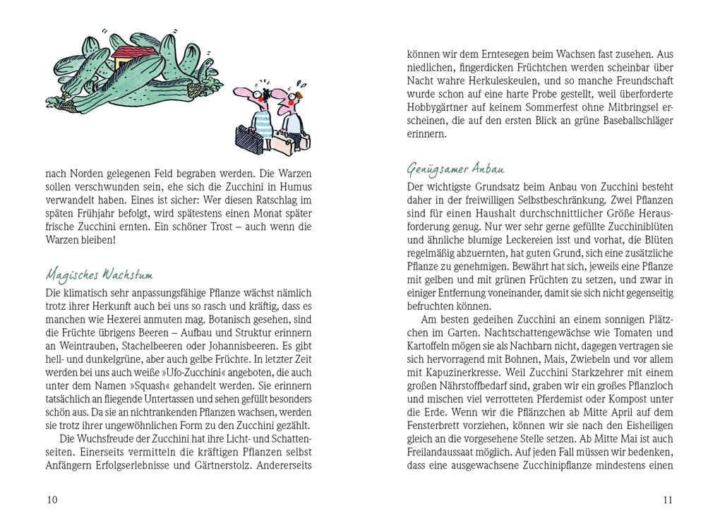 Weitere Ansicht: Zucchini - Ein Erste-Hilfe-Handbuch für die Ernteschwemme | Irmela Erckenbrecht