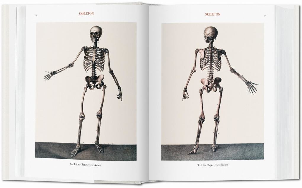 Weitere Ansicht: Bourgery | Jean-Marie Le Minor, Henri Sick