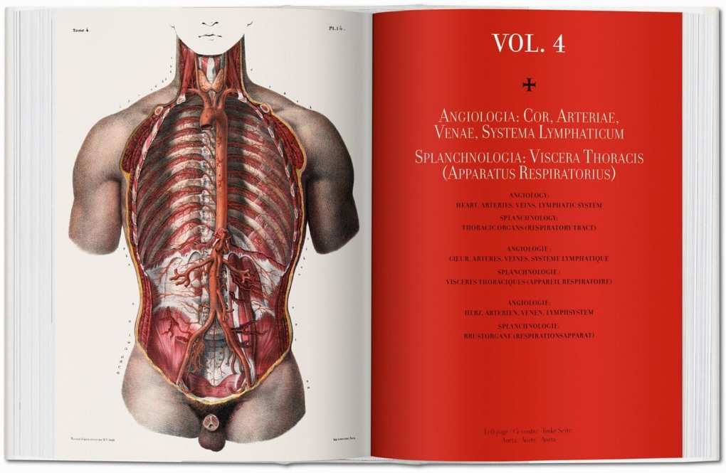 Weitere Ansicht: Bourgery | Jean-Marie Le Minor, Henri Sick